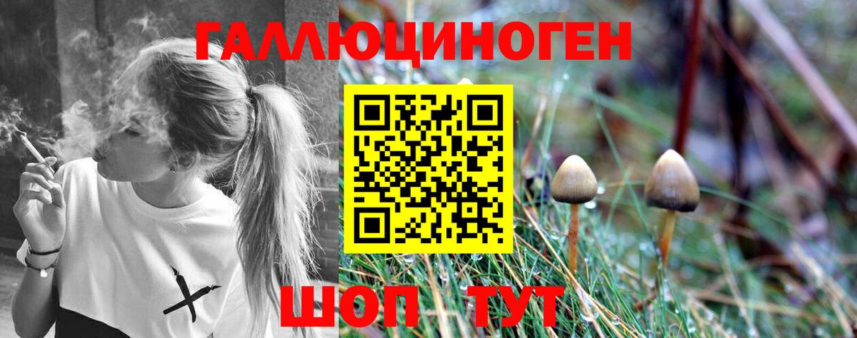 Псилоцибиновые грибы Psilocybe  где продают наркотики  Симферополь  Вход с VPN  Псилоцибиновые грибы Psilocybe 
