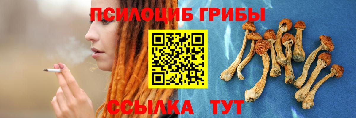 Псилоцибиновые грибы GOLDEN TEACHER Симферополь